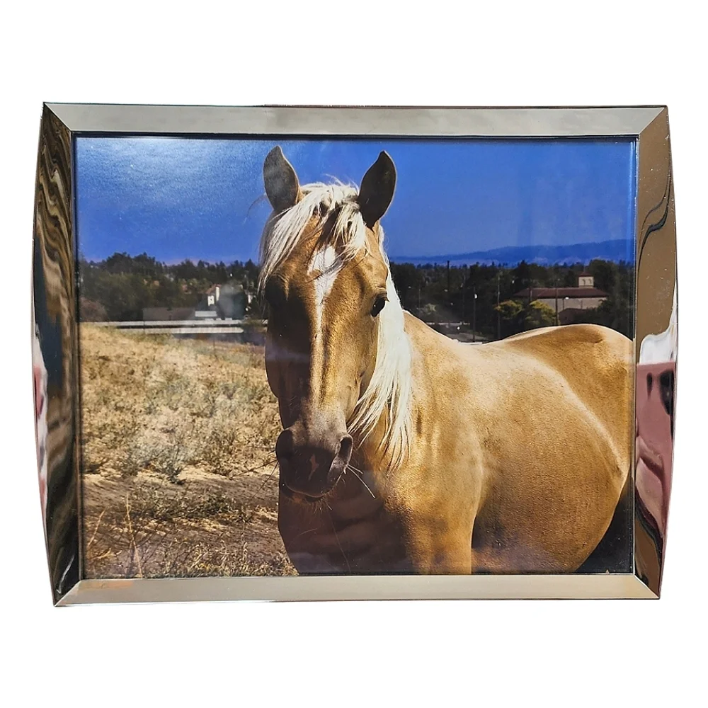 Photo frame black & silver beautiful for large photographs